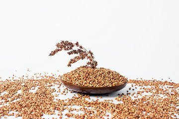 Stilt on white background