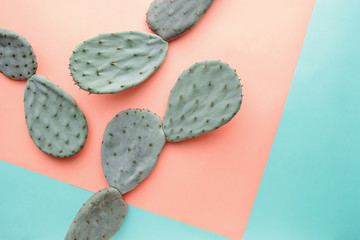Green cactus on pastel yellow and blue background, copy space