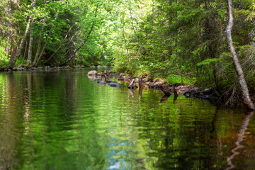 Channel of the lake-channel system of the Big Solovetsky Island on Solovki Island. Solovetsky archipelago, Arkhangelsk Region, Russia