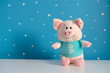 piggy toy on a blue background