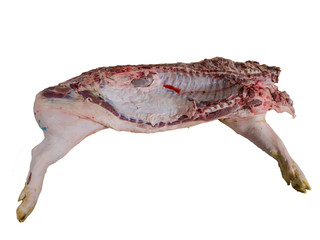 Half of pig on isolated background