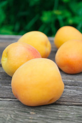 natural, organic apricot on a wooden background