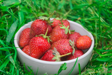 natural, organic strawberries
