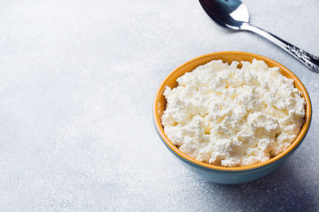 Homemade Cottage cheese in a ceramic bowl on a gray table.