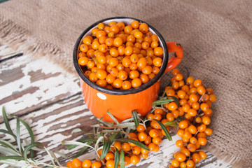natural organic sea buckthorn