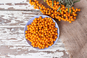 natural organic sea buckthorn