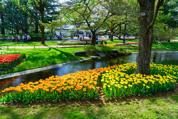 Plakat チューリップ咲く昭和記念公園