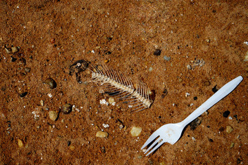 Plastic waste and fish bone on sand