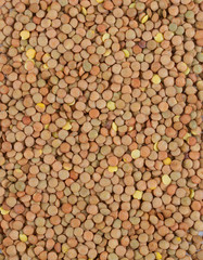 lentils isolated on white