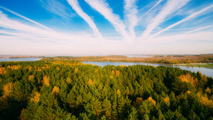 Forest with autumn trees in Minsk sea above. Yellow, red and green nature, high top view. Aerial drone shoot with wonderful blue sky and clouds.