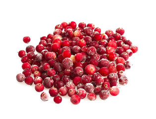 frozen cranberries isolated