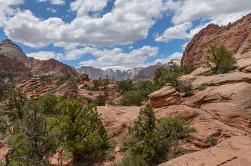 The Sentinel view from Canyon Overlook trail in Zion National Park