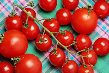 Tomatoes on the table