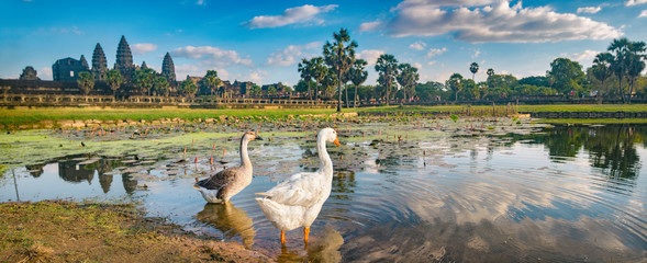 Fototapeta premium Angkor Wat temple at sunset. Siem Reap. Cambodia. Panorama