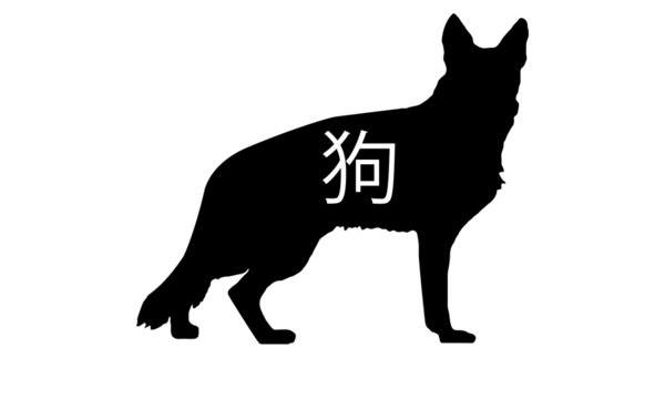 Schäferhund, German Shepherd, Dog, 狗