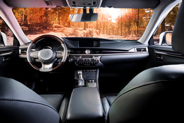 Dark luxury car Interior - steering wheel, shift lever and dashboard. Car inside. Forest road