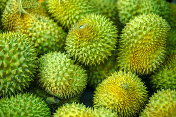 Durian. Group of durian in the market