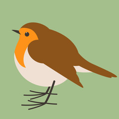  robin bird , vector illustration , flat style, profile