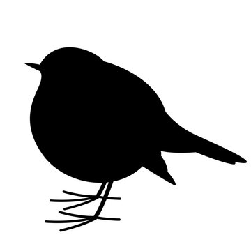 Robin Bird , Vector Illustration , Black Silhouette, Profile