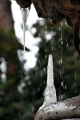 Fontana delle Rane Particolare - Piazza Mincio - Roma