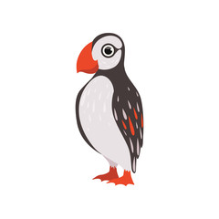 Colorful beautiful puffin bird vector Illustration on a white background