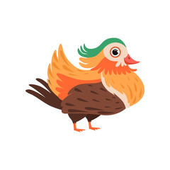 Colorful bright beautiful bird vector Illustration on a white background