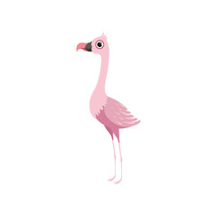 Beautiful pink flamingo bird vector Illustration on a white background