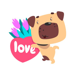 Funny Pug dog with bouquet of flowers and pink heart, cute Valentine animal character vector Illustration