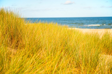 beach of the Baltic sea with beach grass and park bench in back light