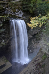 Fototapeta premium Wasserfall in der Rappenlochschlucht