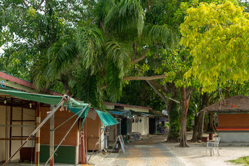 Green Area Near Phi Phi Beach