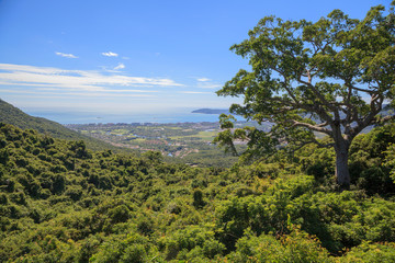 the park of Yalong Bay Tropic Paradise Forest