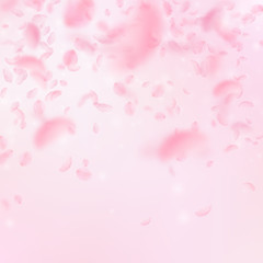 Sakura petals falling down. Romantic pink flowers 