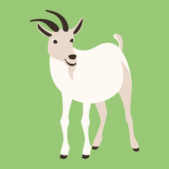 goat  vector illustration , flat style ,profile 