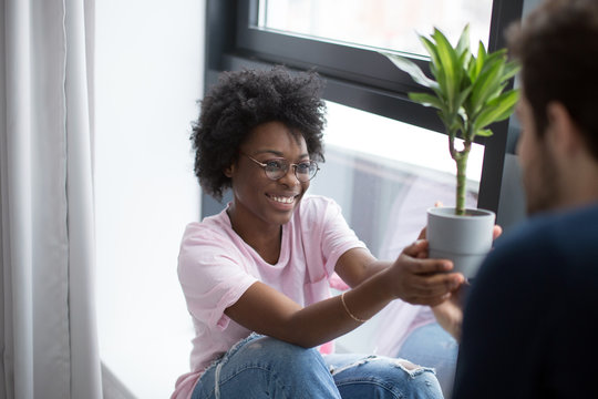 Happy interracial couple holding a potted plant near the window of their newly rented house, sitting in empty room. Moving into new house concept