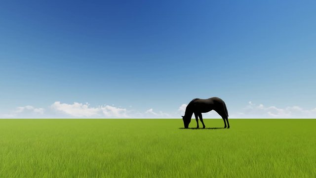 Horse on green grass field