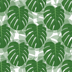 Fototapeta premium Leaves of monsters. Floral seamless pattern. Trend design. - Vector.