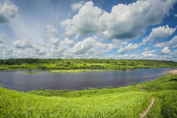 beautiful landscape river delta with meadows and forest on a sunny day