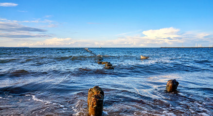 Groyne and seagull in the Baltic Sea. In the background the harbor of Glowe. Mecklenburg-Vorpommern