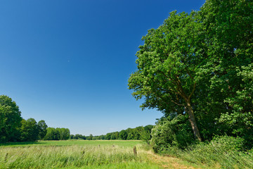 Landschaft am Niederrhein
