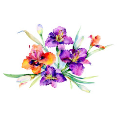 Purple and red daylily bouquet botanical flowers. Watercolor background set. Isolated bouquet illustration element.