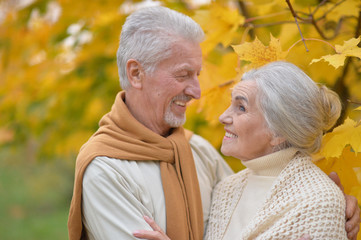 Portrait of senior couple in autumn park