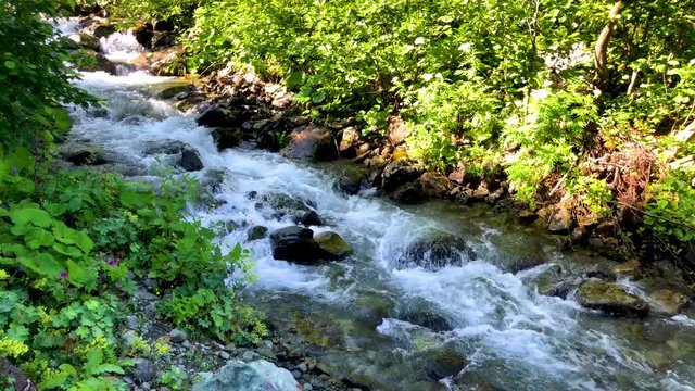 Beautiful green nature landscape of a river and forest in Karcal mountains of Blacksea region, Karadeniz, Artvin, Turkey