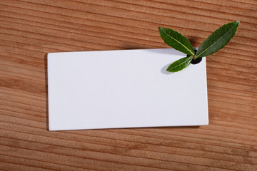 leafs on white card