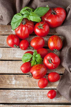 Colorful tomatoes of different sizes and  fresh basil leaves