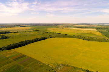 Photos from the air field