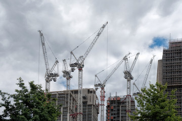 Cranes in London