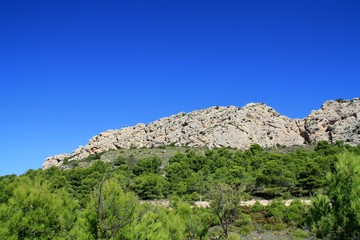 escarpment with Aleppo pines