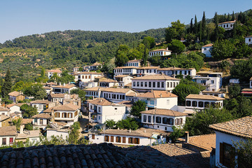 Historical old white wooden houses of among mountains and trees.