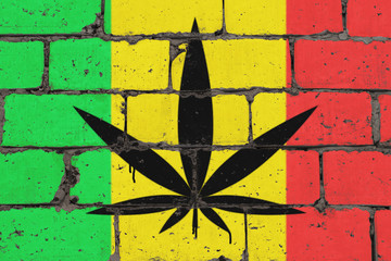 Cannabis leaf depicted on brick colored wall in style of rasta. Graffiti street art spray drawing...